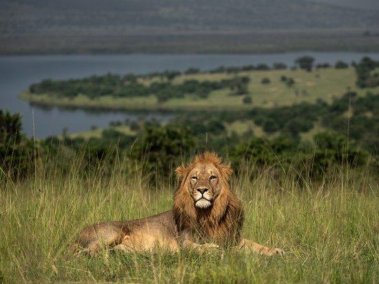 Wide Range of Tours