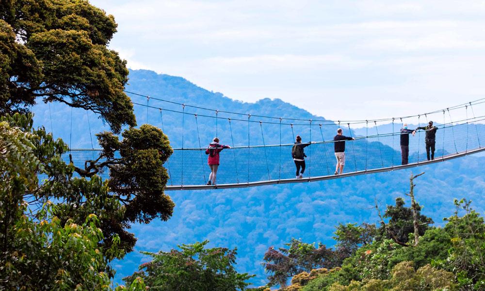 nyungwe park